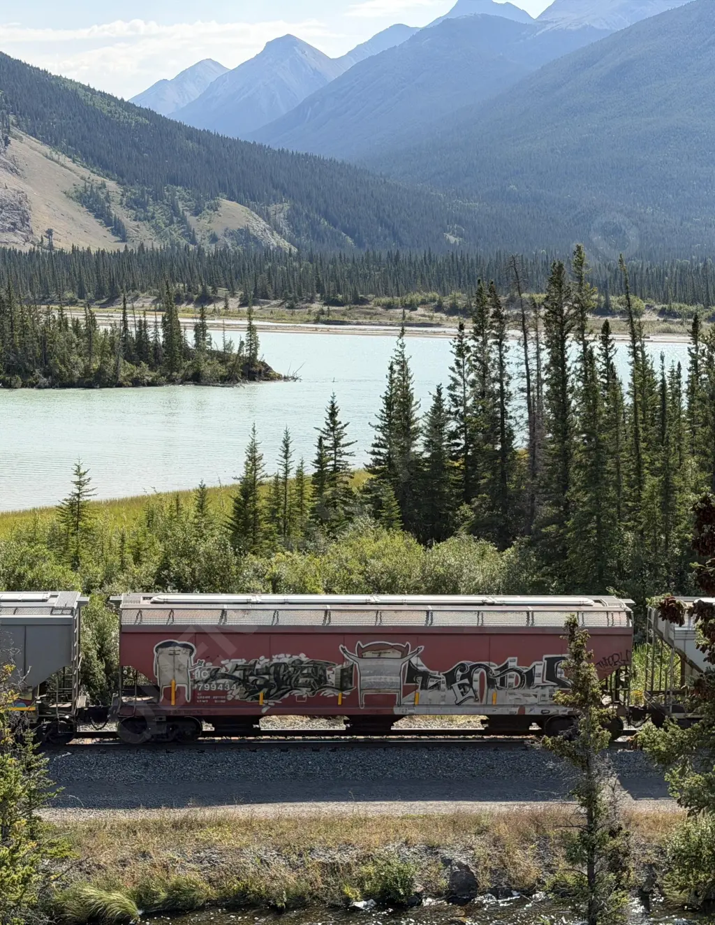 IC799434 - NORTH-AMERICA