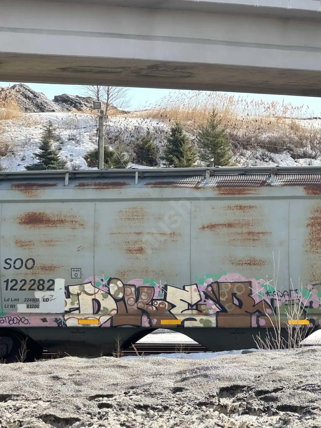 SOO122282 - NORTH-AMERICA