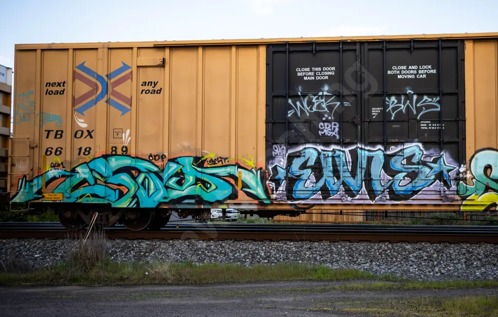 TBOX661889 - NORTH-AMERICA