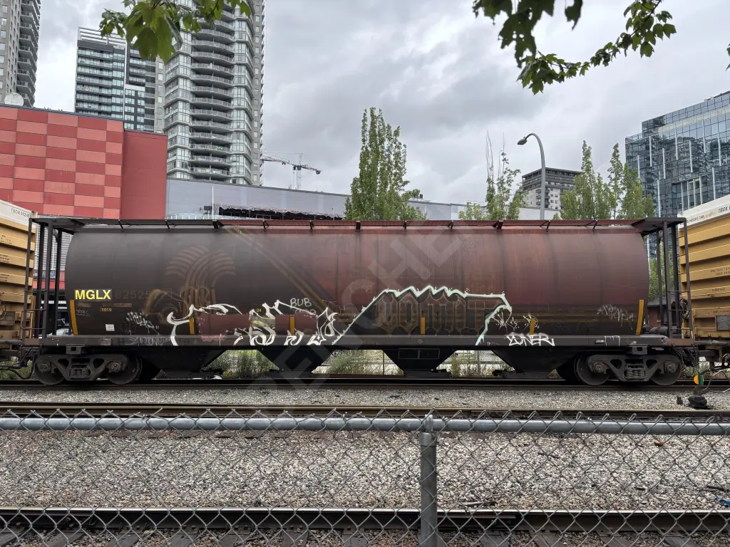 SOO625257 - NORTH-AMERICA