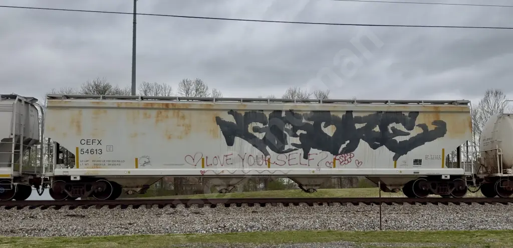 CEFX54613 - NORTH-AMERICA