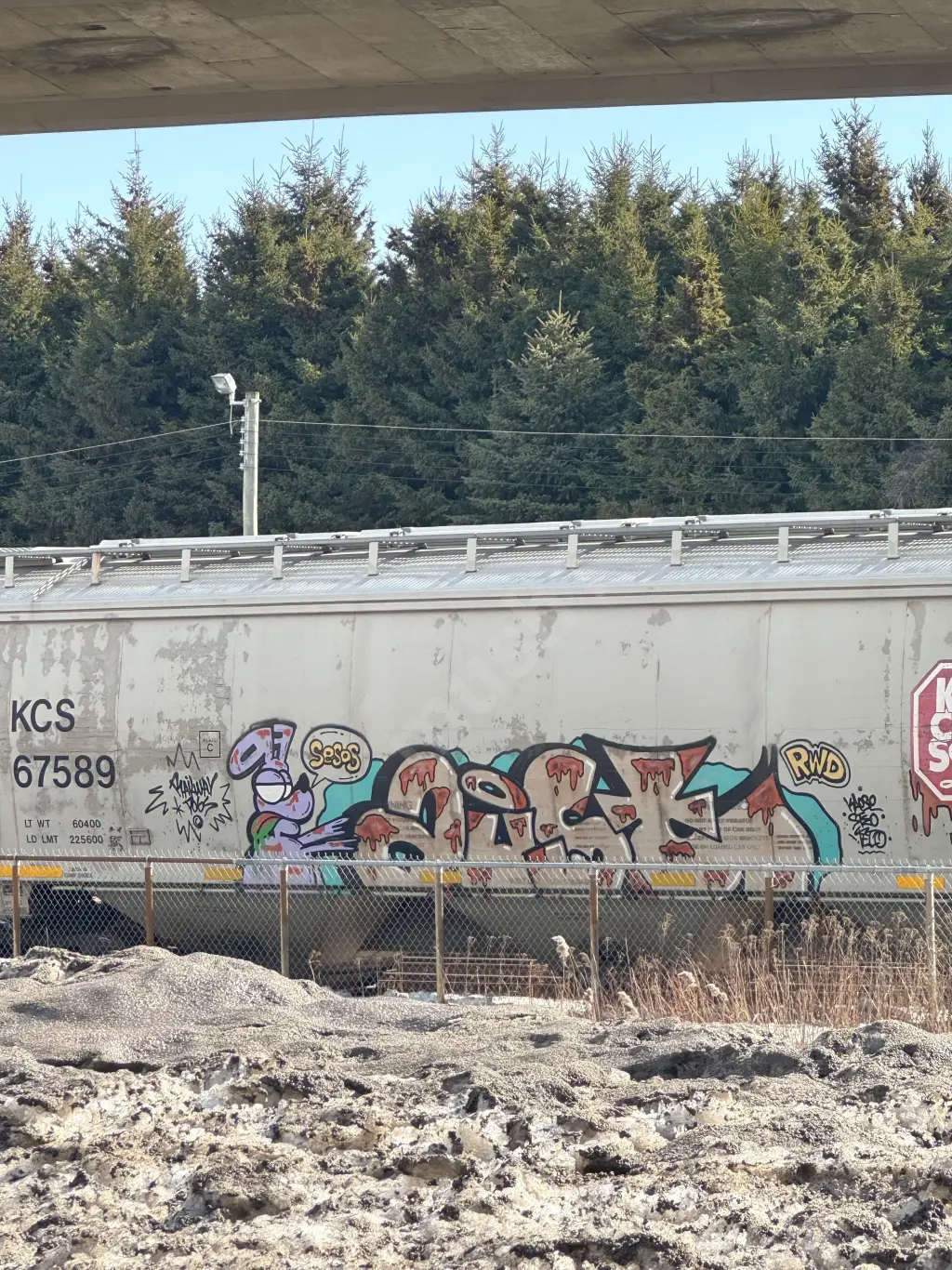 KCS67589 - NORTH-AMERICA