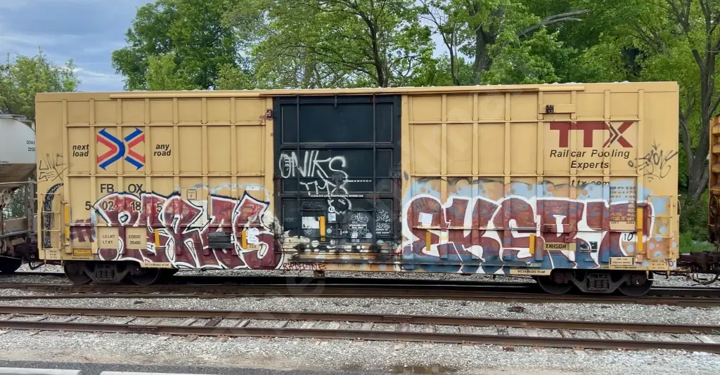 FBOX502185 - NORTH-AMERICA