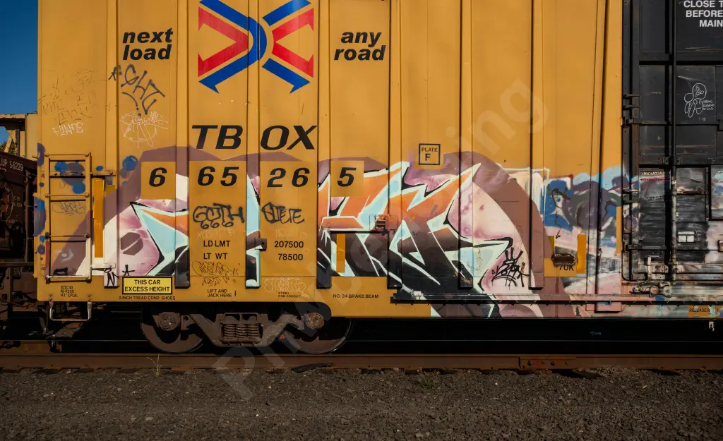 TBOX665265 - NORTH-AMERICA