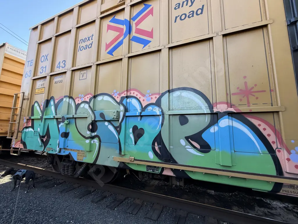 TBOX633143 - NORTH-AMERICA