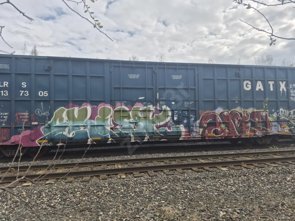 LRS137305 - NORTH-AMERICA