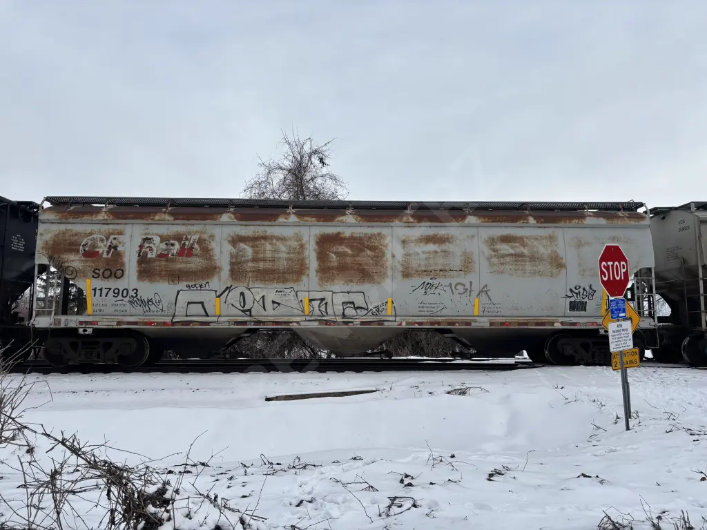 SOO117903 - NORTH-AMERICA