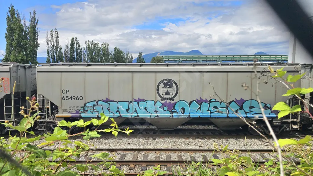 CP654960 - NORTH-AMERICA
