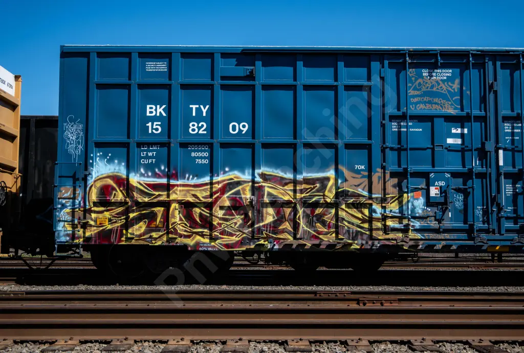 BKTY158209 - NORTH-AMERICA