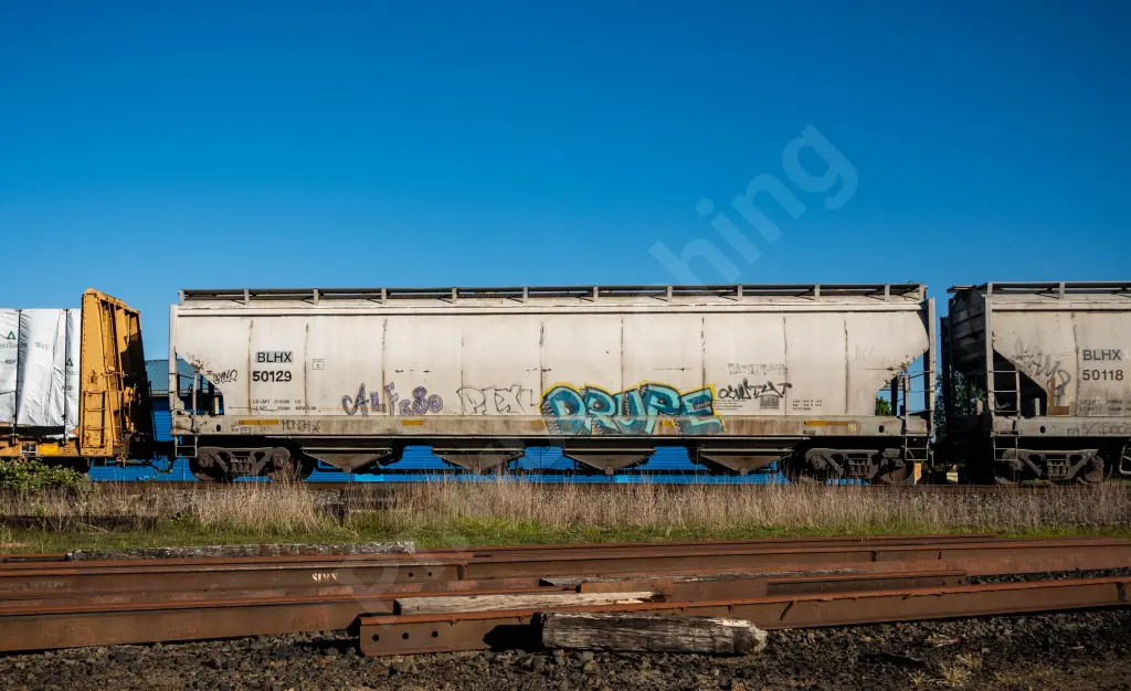 BLHX50129 - NORTH-AMERICA