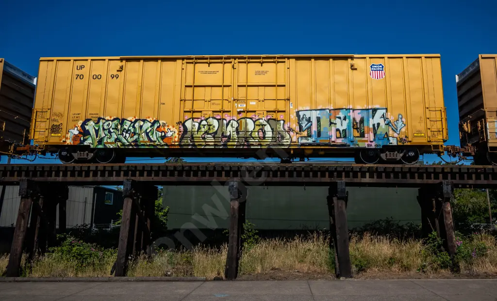 UP700099 - NORTH-AMERICA