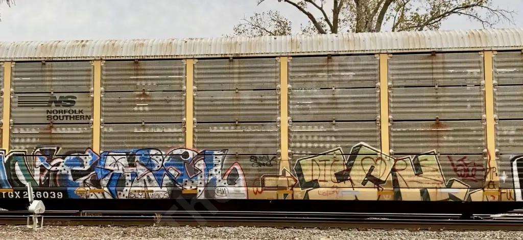 TTGX256039 - NORTH-AMERICA