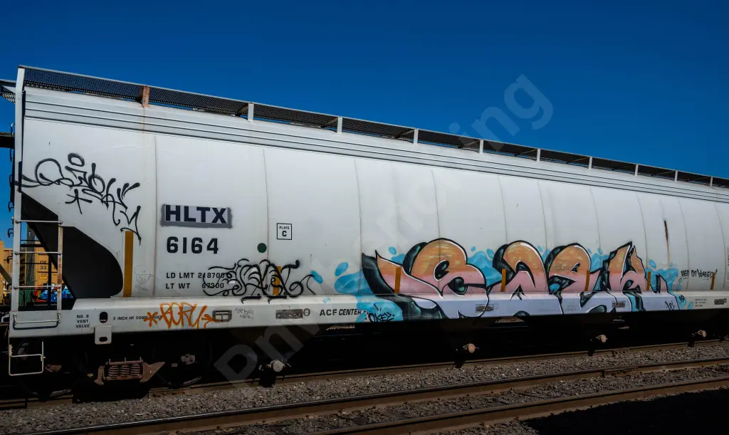 HLTX6164 - NORTH-AMERICA