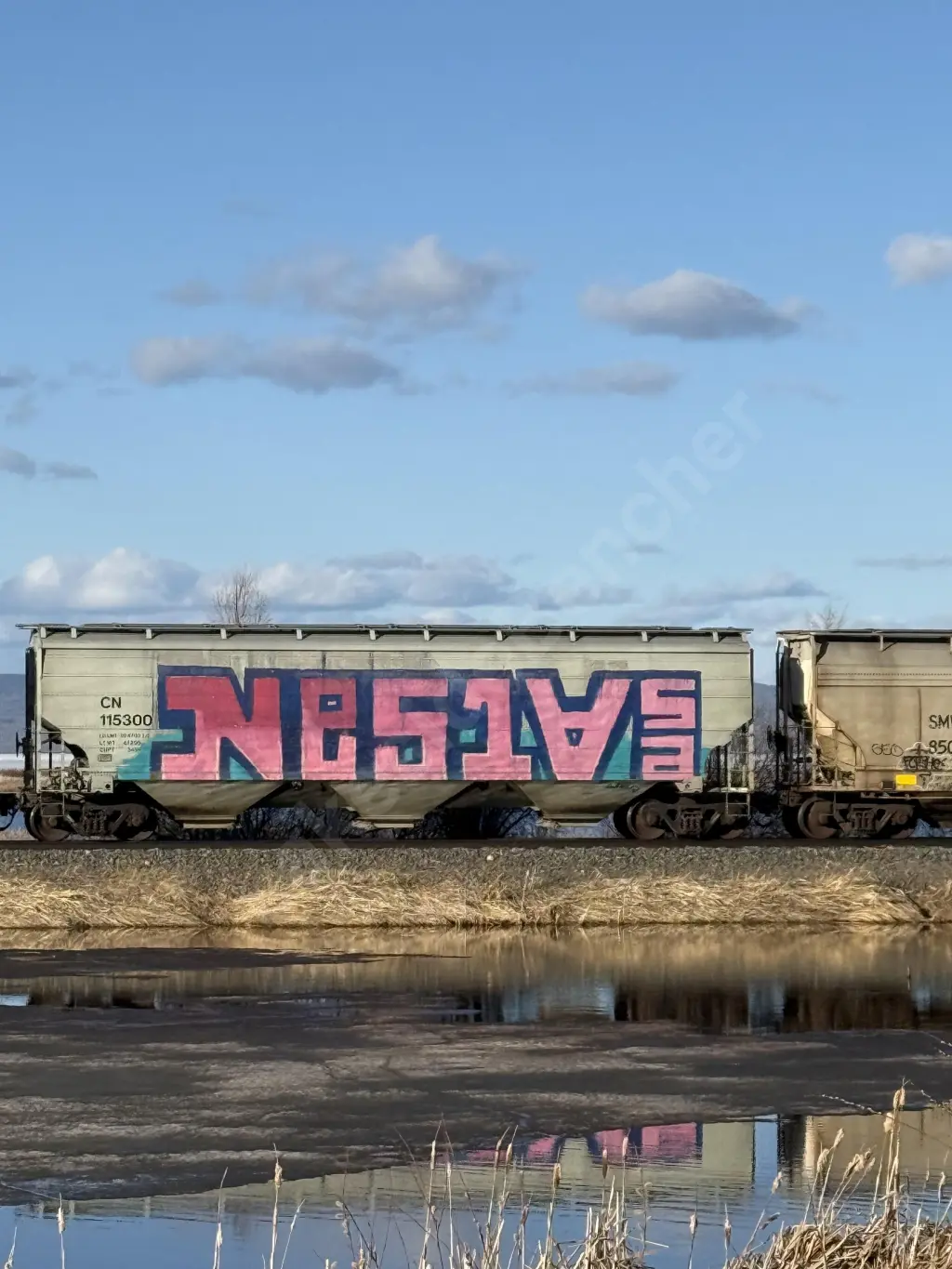CN115300 - NORTH-AMERICA