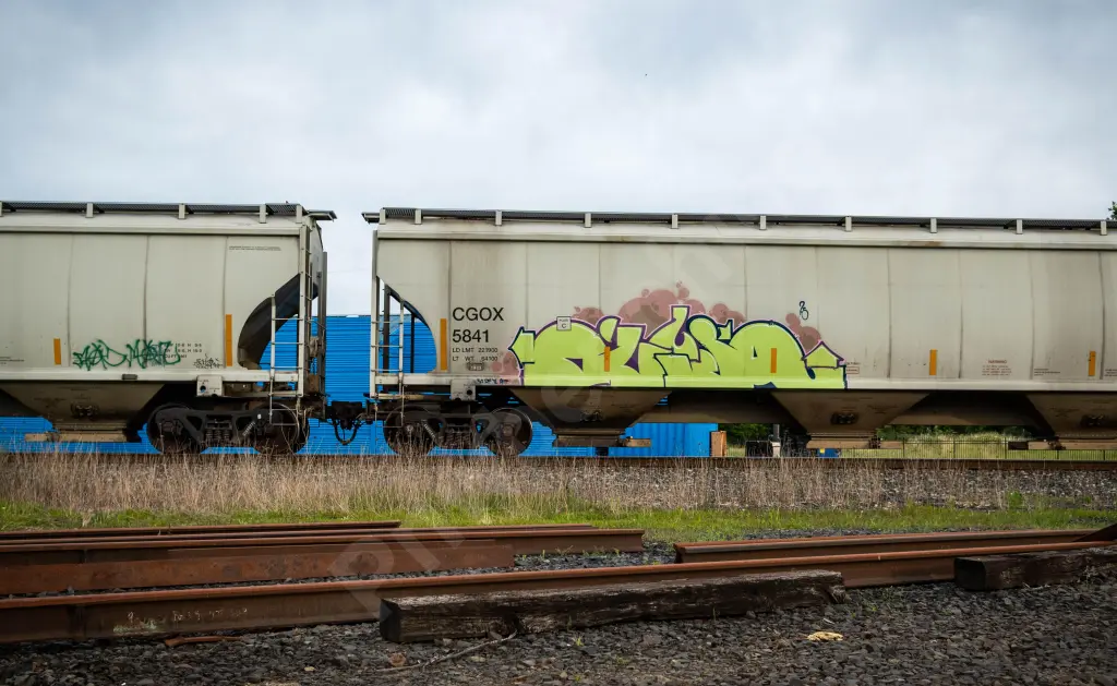 CGOX5841 - NORTH-AMERICA