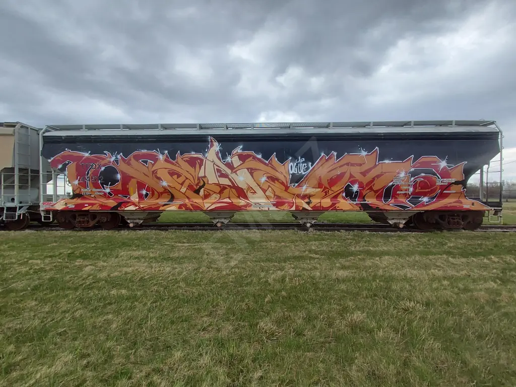 TFOX44512 - NORTH-AMERICA