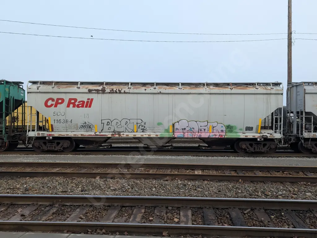 SOO116384 - NORTH-AMERICA