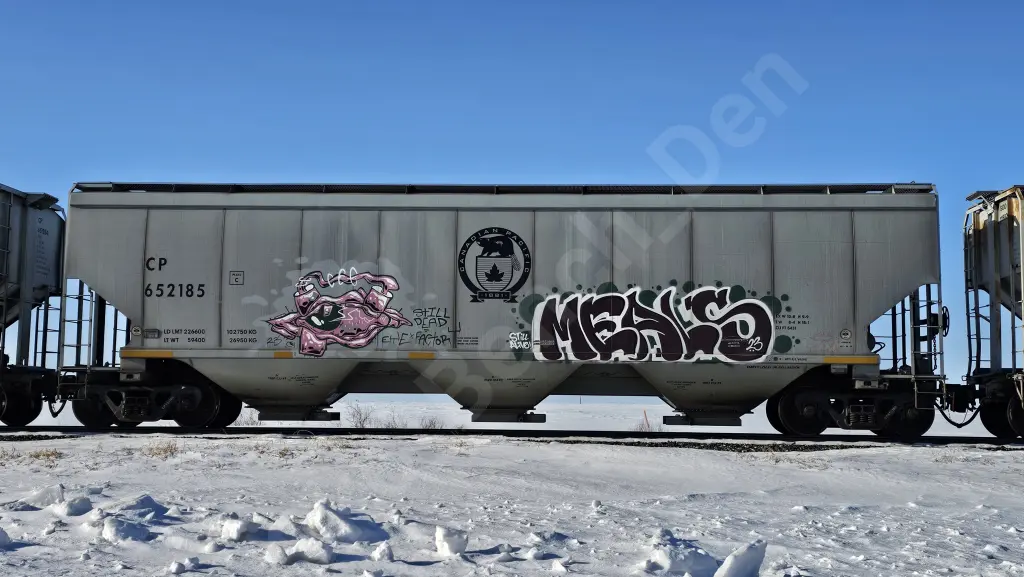 CP652185 - NORTH-AMERICA
