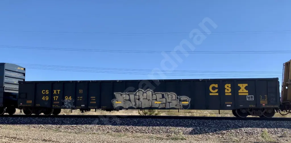 CSXT491794 - NORTH-AMERICA