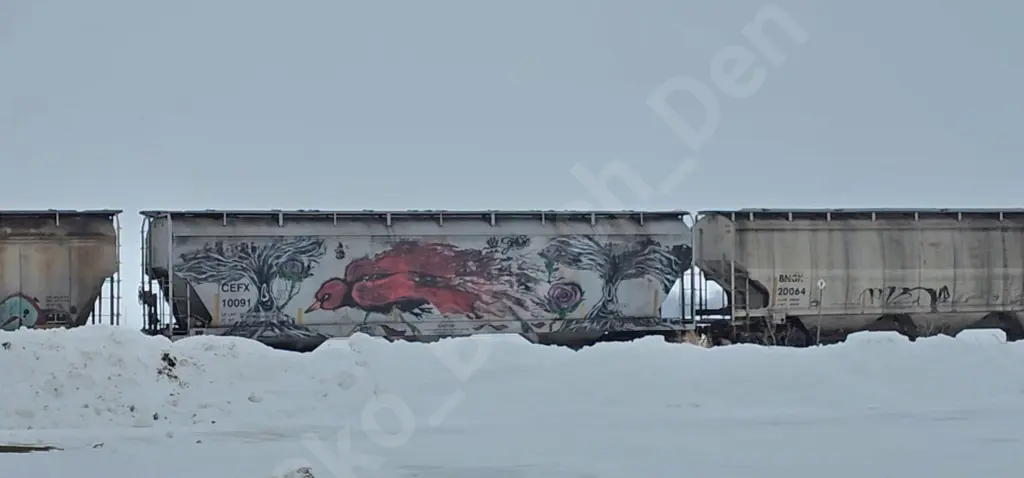 CEFX10091 - NORTH-AMERICA