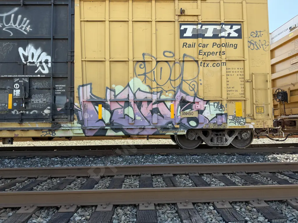 FBOX502689 - NORTH-AMERICA