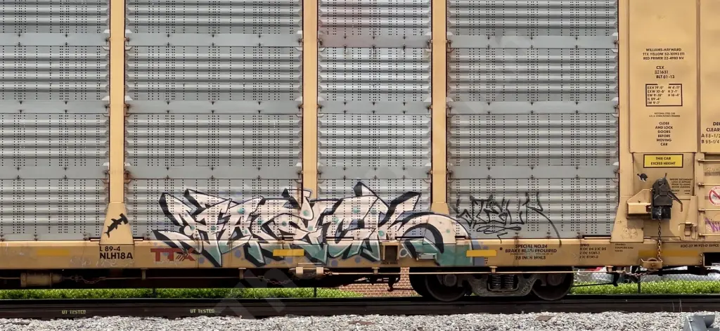 TTGX715699 - NORTH-AMERICA