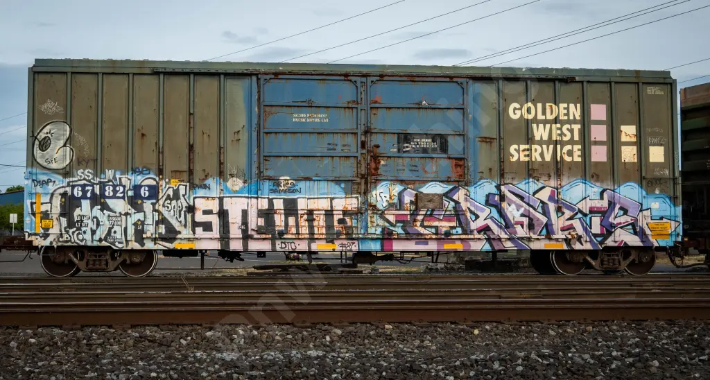 SSW67826 - NORTH-AMERICA