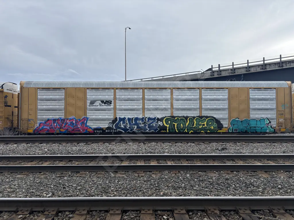 TTGX82352 - NORTH-AMERICA