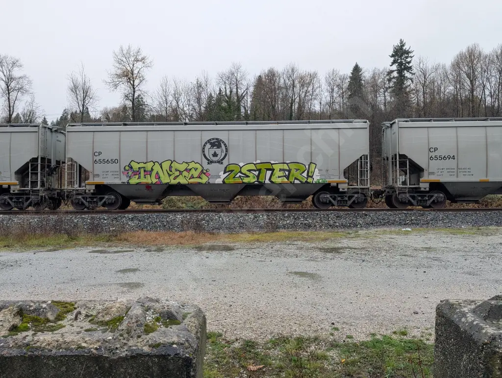 CP655650 - NORTH-AMERICA