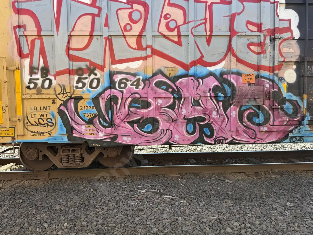FBOX505064 - NORTH-AMERICA