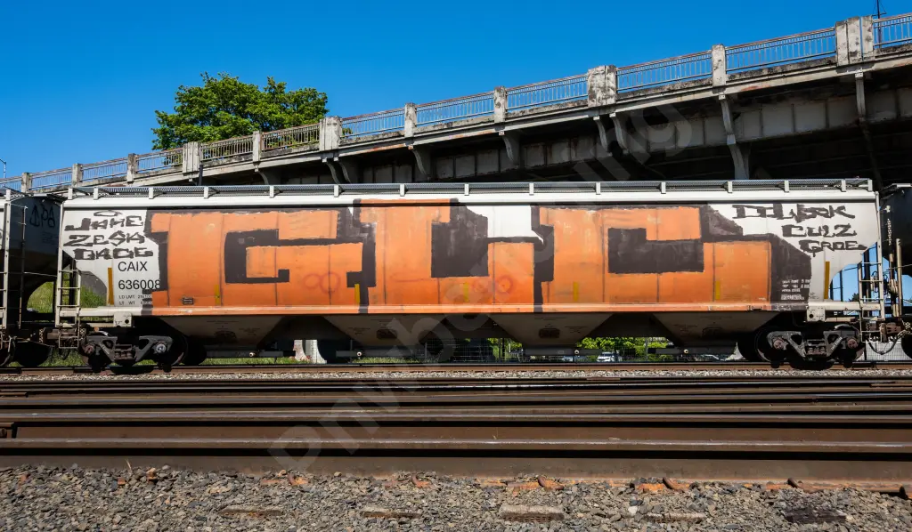 CAIX636008 - NORTH-AMERICA
