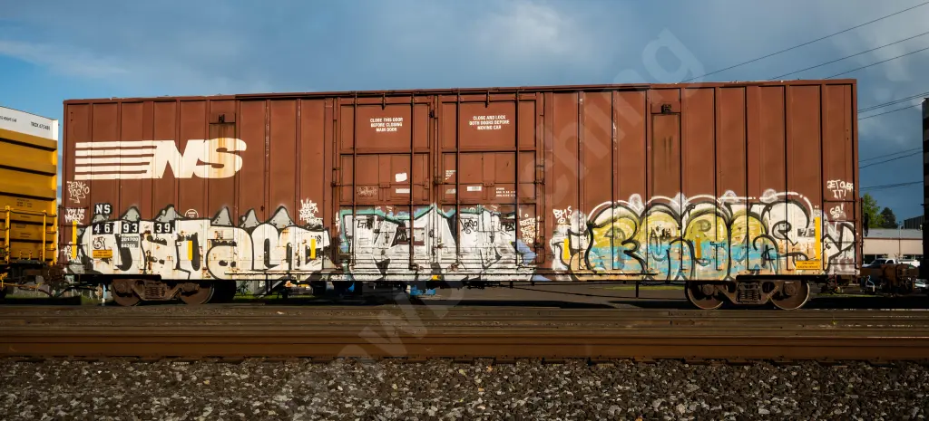 NS469339 - NORTH-AMERICA