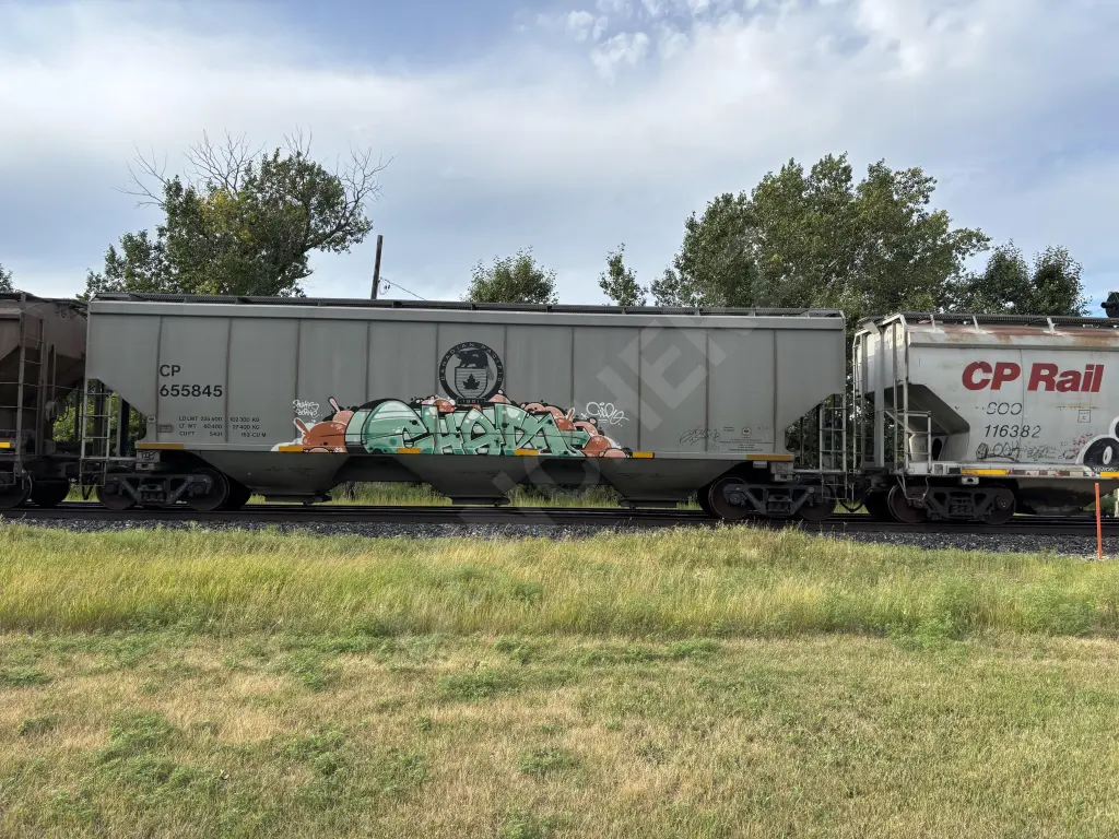 CP655845 - NORTH-AMERICA