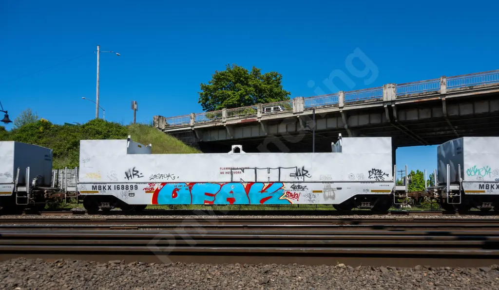 Train photo