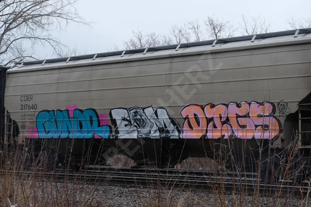 COER317640 - NORTH-AMERICA