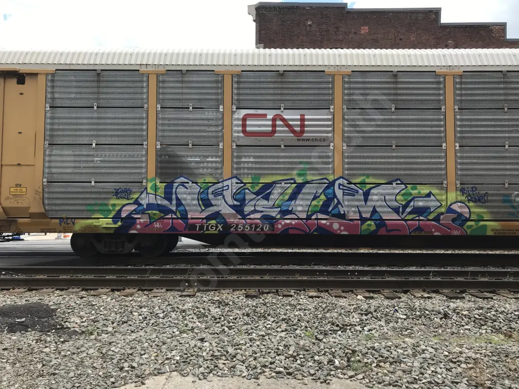 TTGX255120 - NORTH-AMERICA
