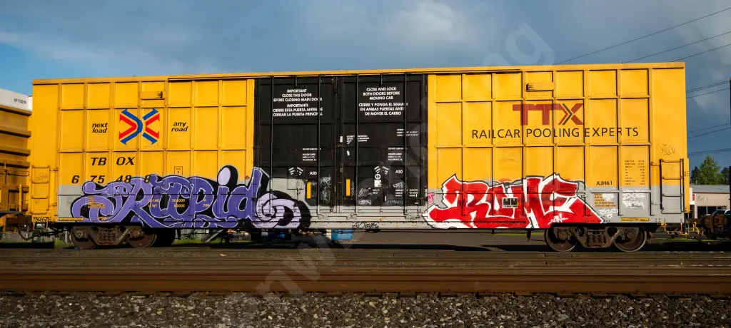TBOX675488 - NORTH-AMERICA