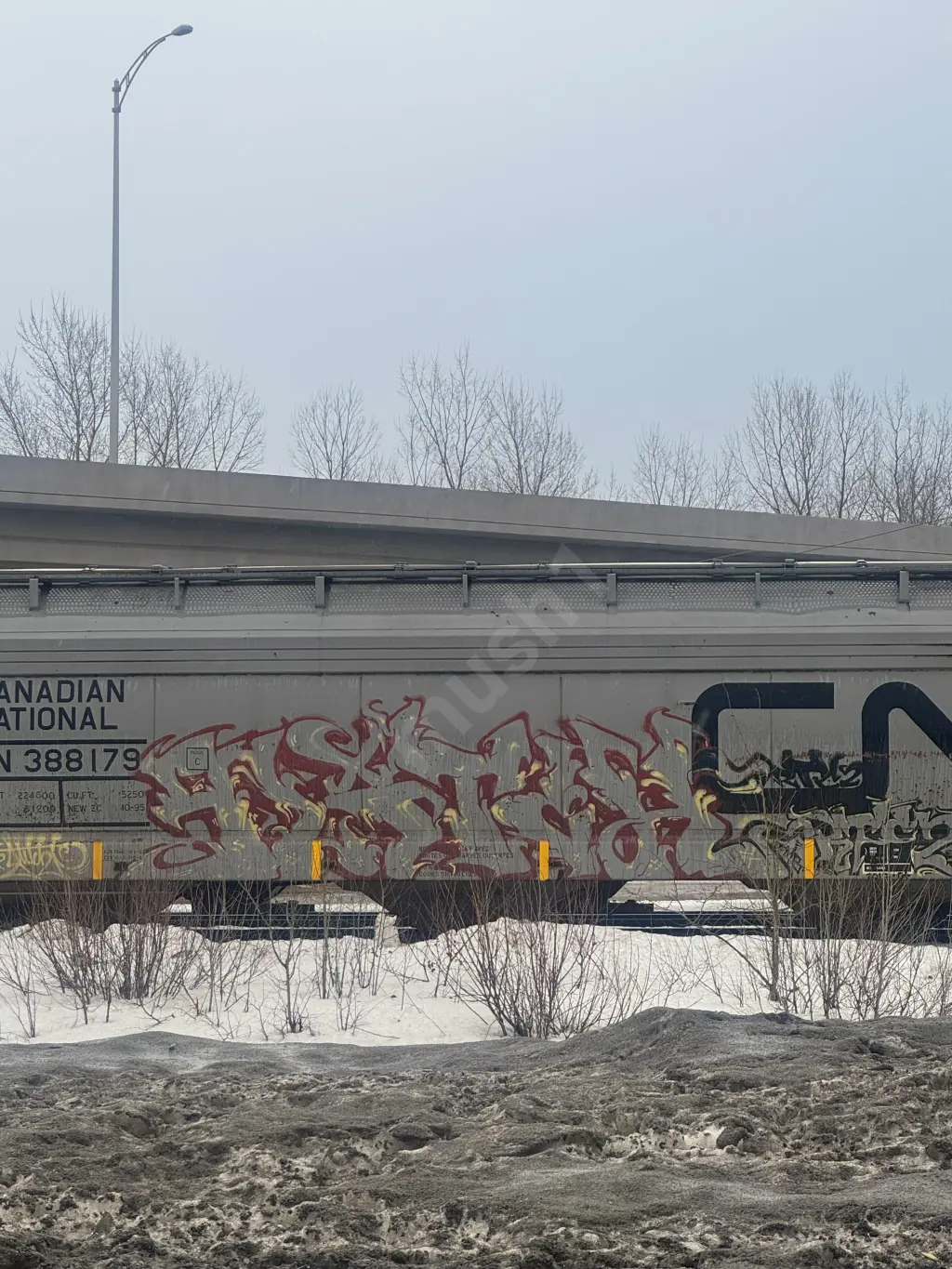CN388179 - NORTH-AMERICA