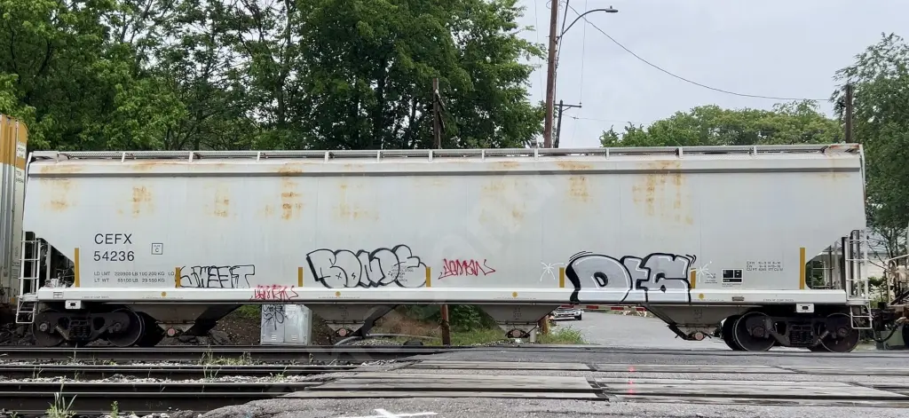 CEFX54236 - NORTH-AMERICA