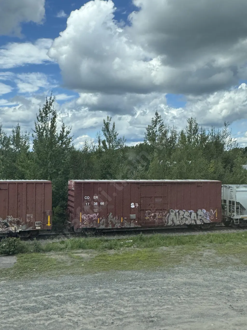 COER173868 - NORTH-AMERICA