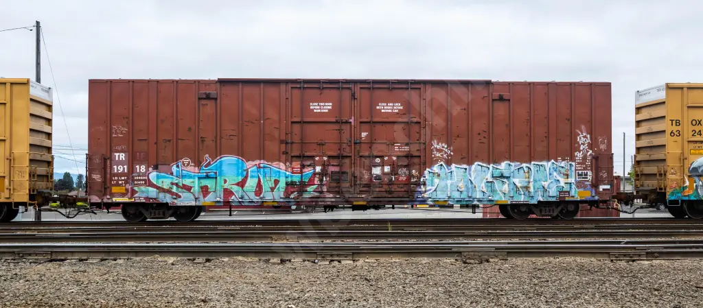 TR19118 - NORTH-AMERICA
