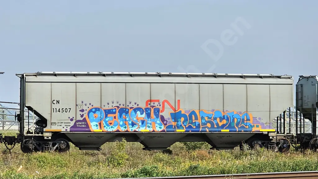CN114507 - NORTH-AMERICA