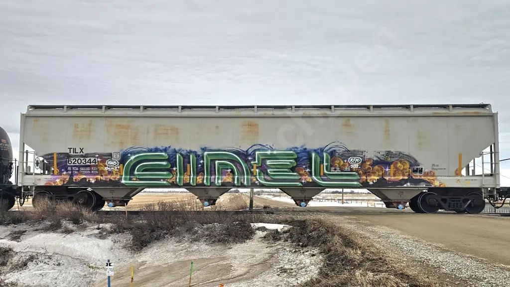 TILX620344 - NORTH-AMERICA