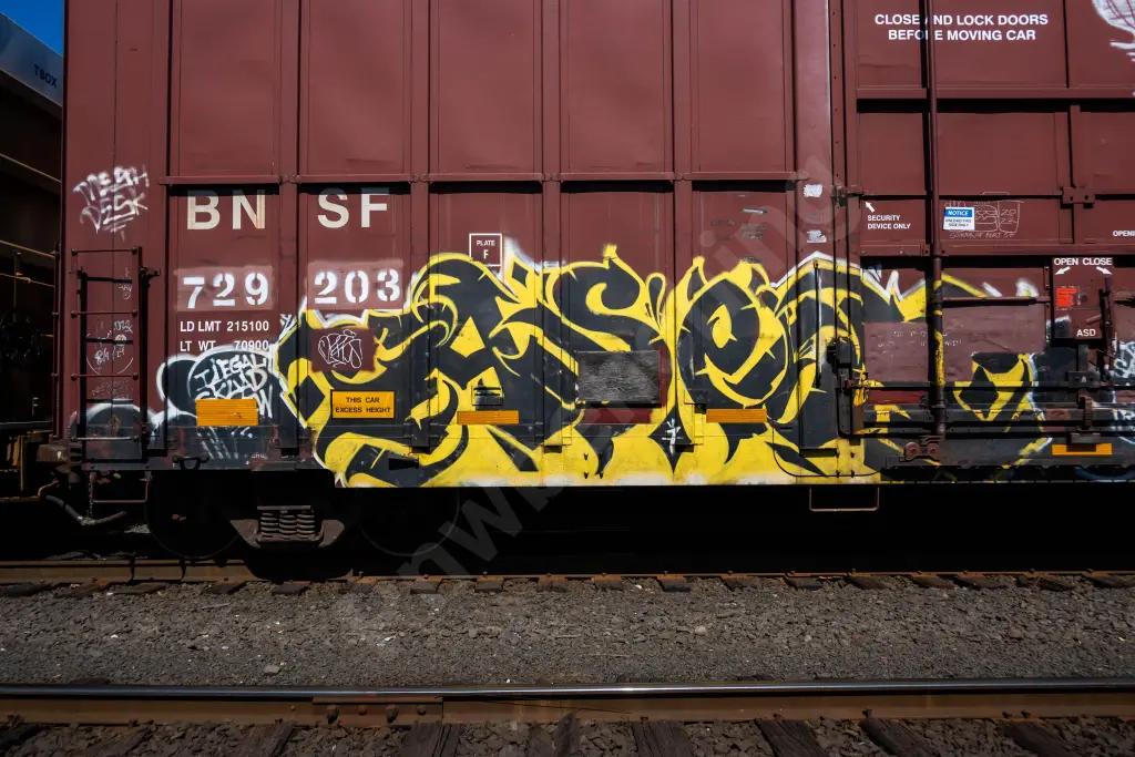 BNSF729203 - NORTH-AMERICA