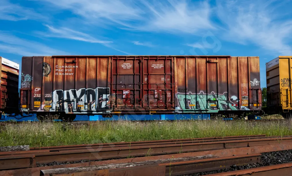 CP218228 - NORTH-AMERICA