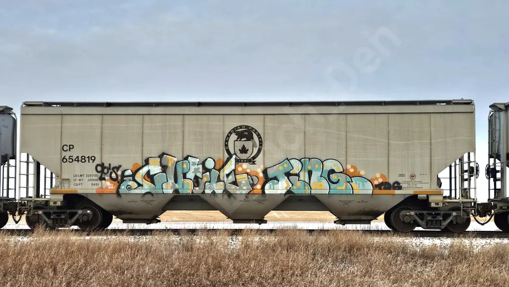 CP654819 - NORTH-AMERICA