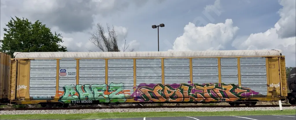 TTGX853090 - NORTH-AMERICA