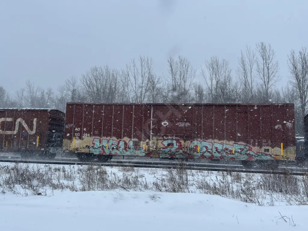 AOK113094 - NORTH-AMERICA
