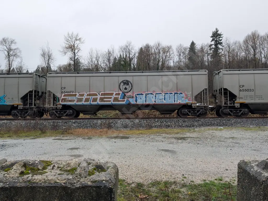 CP654677 - NORTH-AMERICA