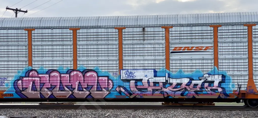 BNSF300788 - NORTH-AMERICA